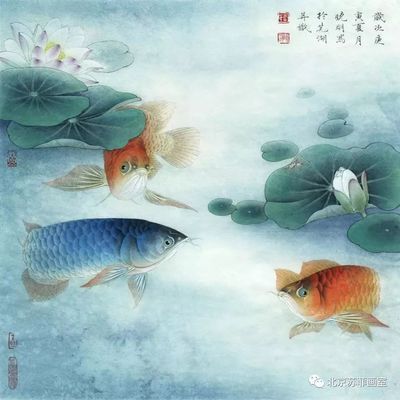 魚缸翻新改造圖片高清：魚缸翻新改造圖片高清大圖