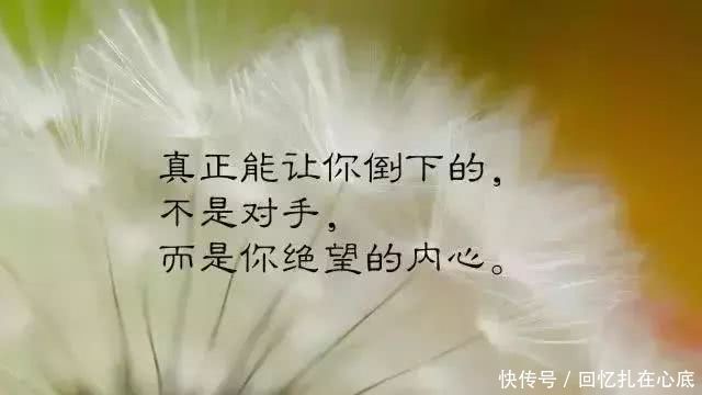 t01c90c38d9e194b356.jpg