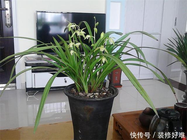 t01c9902890d2111565.jpg