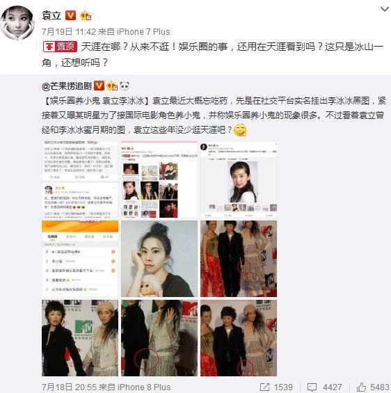 袁立被抓了?宋祖德3个字道出袁立现状