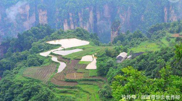 藏在悬崖峭壁的空中田园 终于找到了!