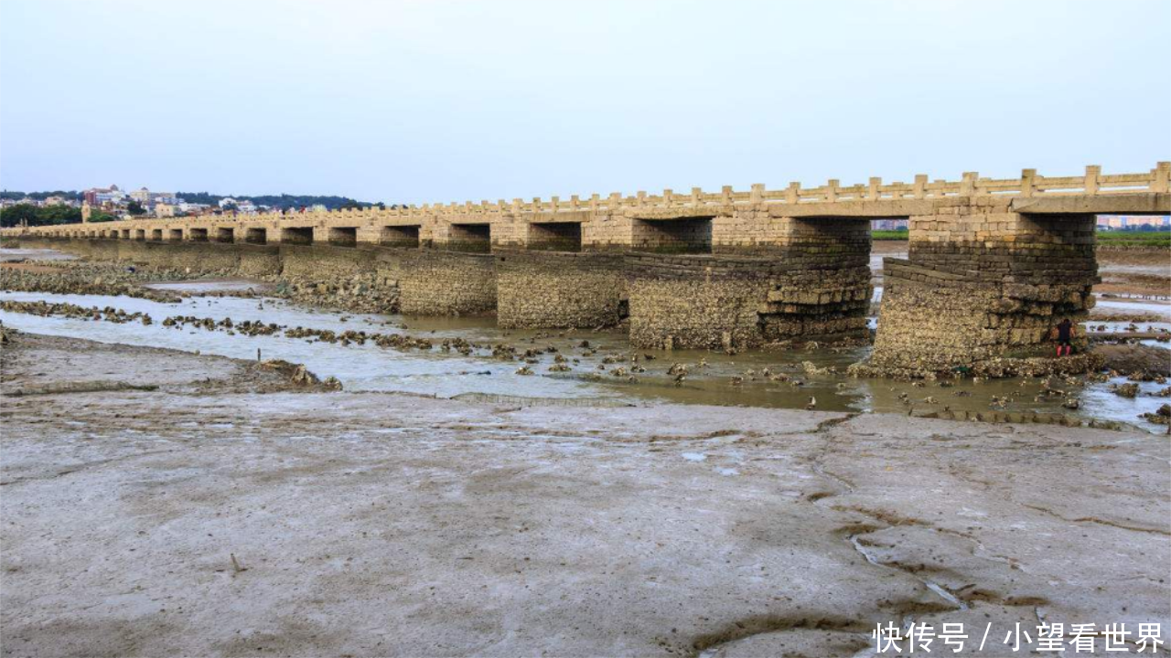 中国桥梁有多霸道？第一座跨海大桥千年不到，仅靠一种动物加固