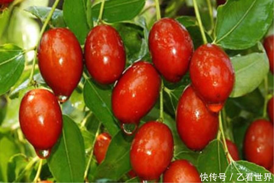 到山东滨州旅游,这几个景点和地方特产请不要