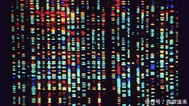 科学界最尖端的125个谜团, 诺贝尔奖在等待它们