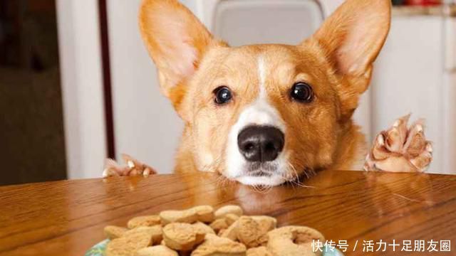 企业信息登记号