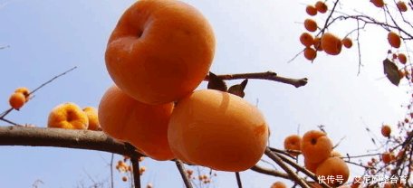 小姨是妇科主任, 她怀孕了却坚决不吃这5种水