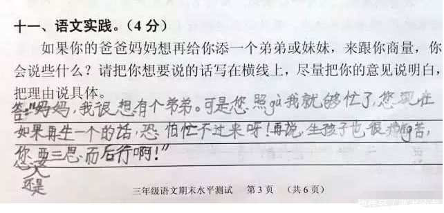 孩子作文:我不要弟弟妹妹,我想独吞家产,妈妈看