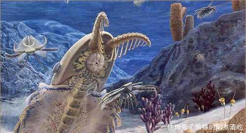 地球生命史上的悬案寒武纪生物大爆发,生命物
