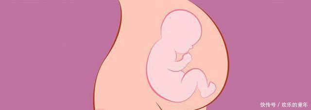 怀胎10月,这个月胎儿发育最快!别大意