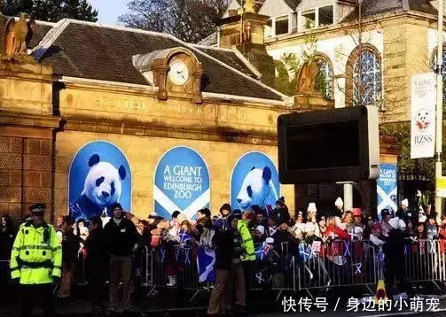 外国人有多喜欢大熊猫?看看这些熊猫所受的待