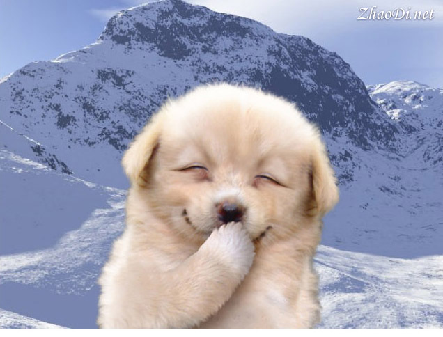 临沂金鼎国际少儿美术培训学校|临沂美术画画