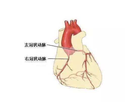 一场在3.8毫米空间内的舞蹈 一例罕见重症病人在长海医院成功接受