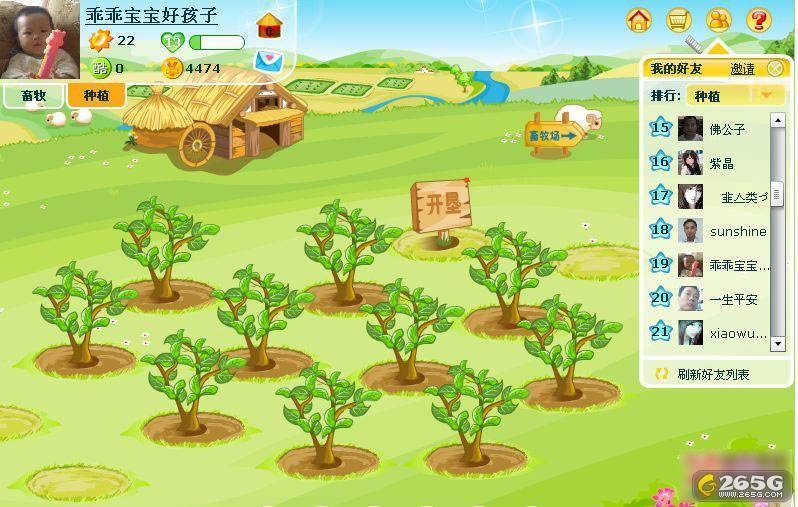 阳光牧场_阳光牧场自助餐_阳光牧场游戏 | 知客