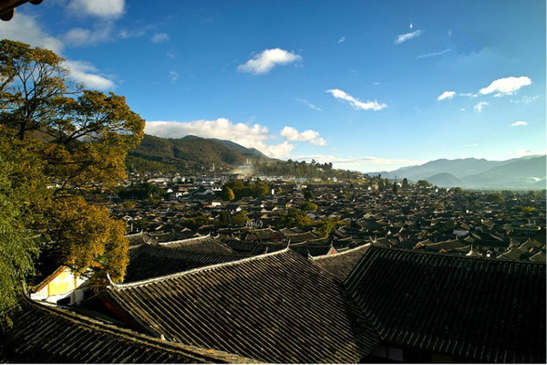 丽江只需要一个黄昏,看海棠花如何从身边飘落