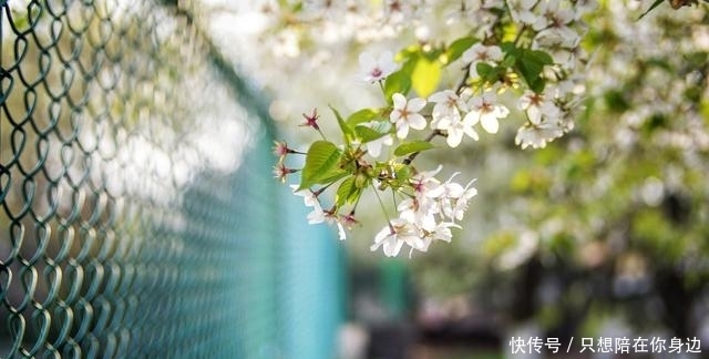 当今社会现状,别不好意思看,哪位高人总结的,太