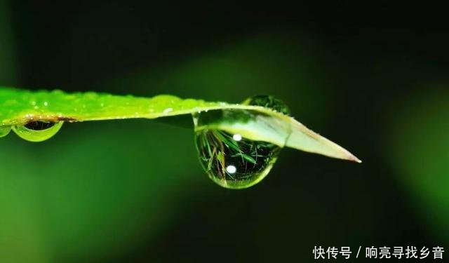 微信看不了更多表情