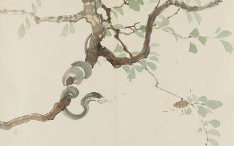 周易命论:各年龄层属蛇人一生宿命!