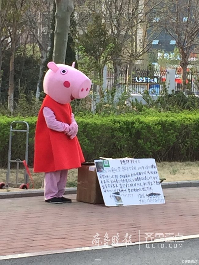 情报站|咋回事?济南街头男子扮成\"小猪佩奇\"求助
