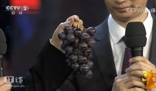 t01e2dafa8d0aab16f5.png?size=500x291