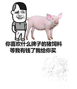 t01e4b828ff4233d8ec.jpg