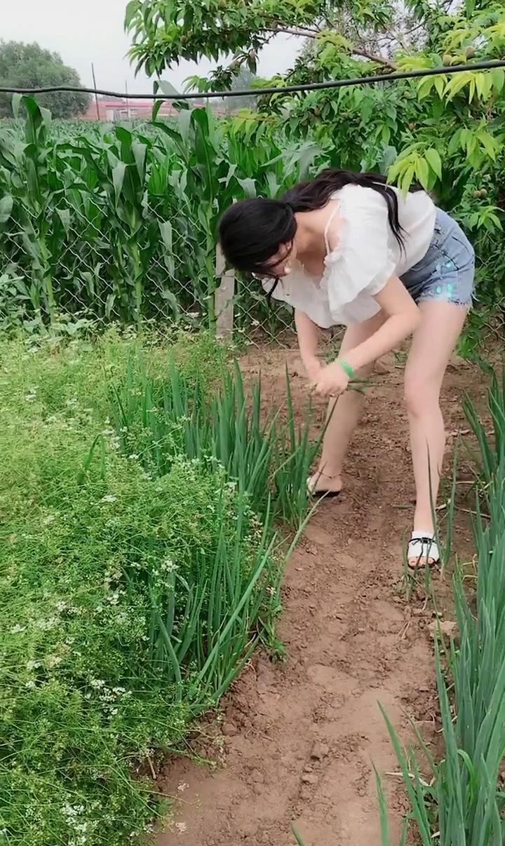 户外穿上短裤干活的辣妈,弯腰的动作,散发迷人魅力 通博官方网注册