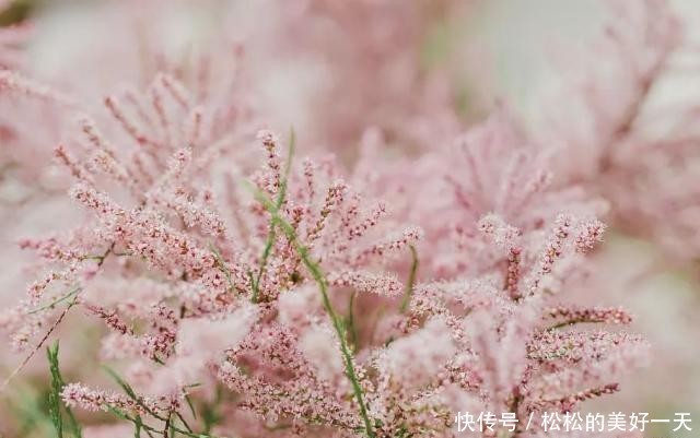 t01e54992b8f8ea712f.jpg?size=640x401