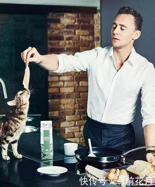 钢铁侠和美队都是资深铲屎官 雷神表示不服