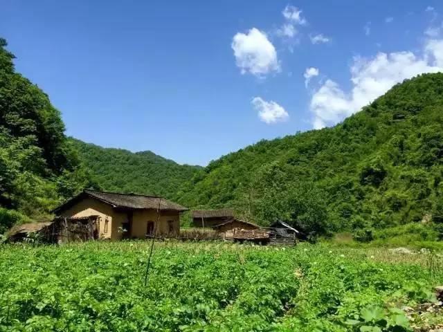 为守护秦岭大山,佛坪香菇种植人用心良苦