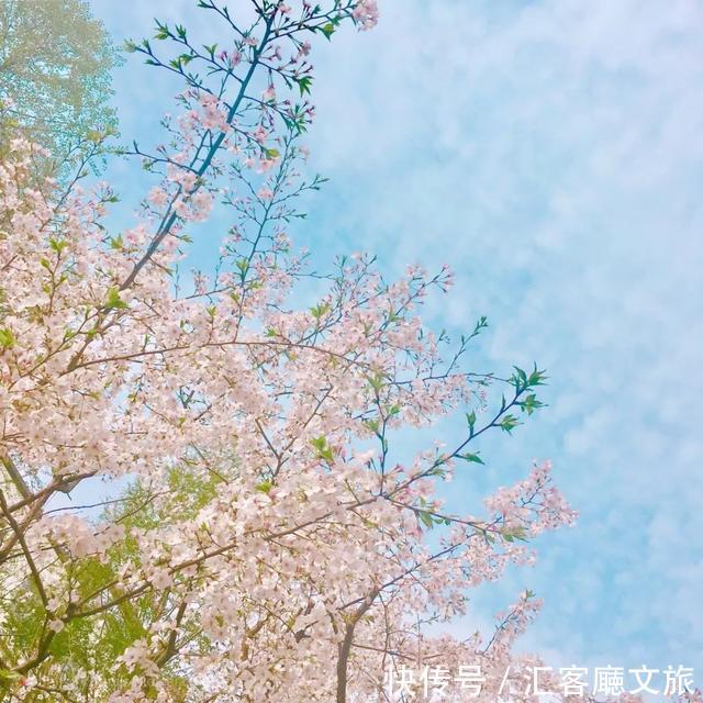 清明小长假,我想去这9个绝美的地方踏青!