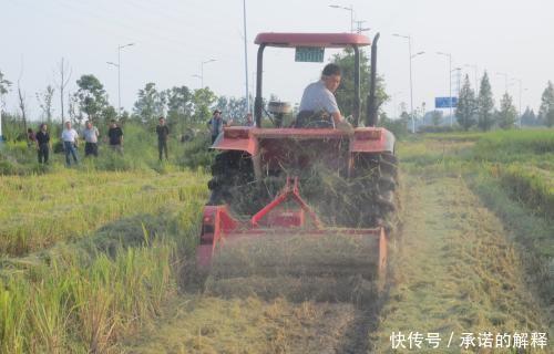 如果土地不实行有偿退出,以后农村孩子不会种