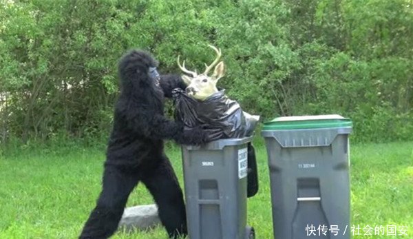 隔壁传来惨叫声,一只大猩猩拎着垃圾走出来,仔