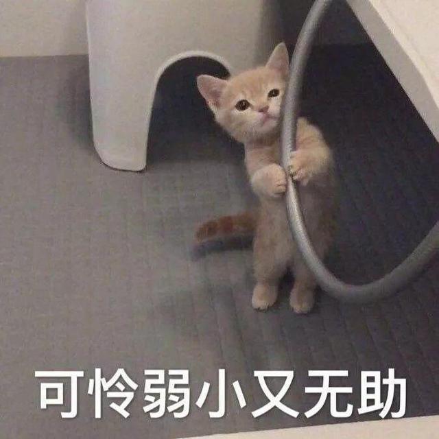 DNF玩家:多多少少这个游戏玩了六七年了,我先说一下我的感想吧