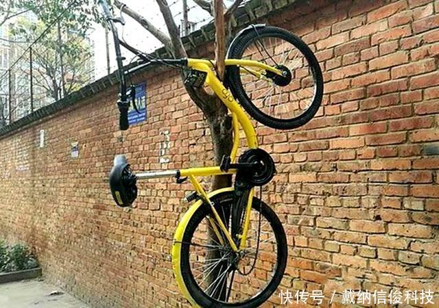 小黄车公司地址