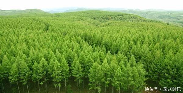 【雄安之声】试点先行!雄安新区将在这些方面