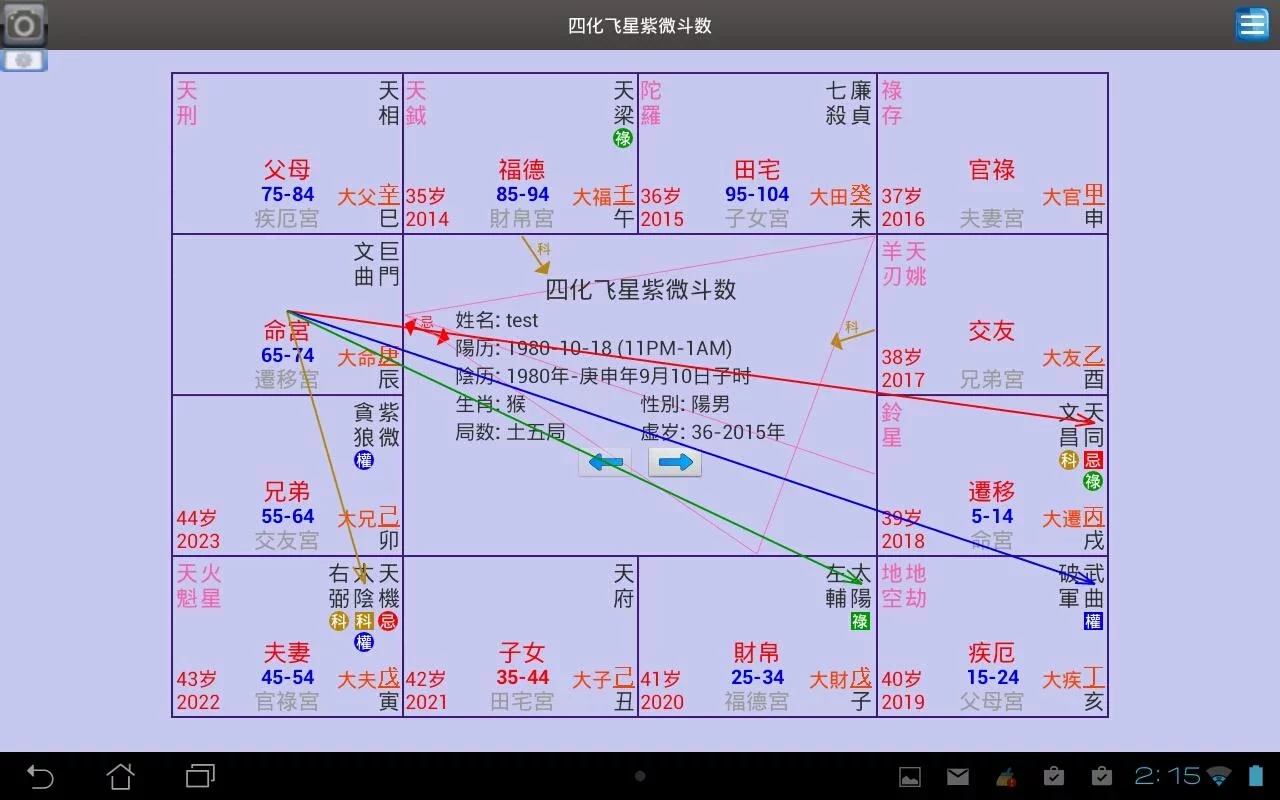 四化飞星紫微斗数 - Zi Wei Dou Shu截图8