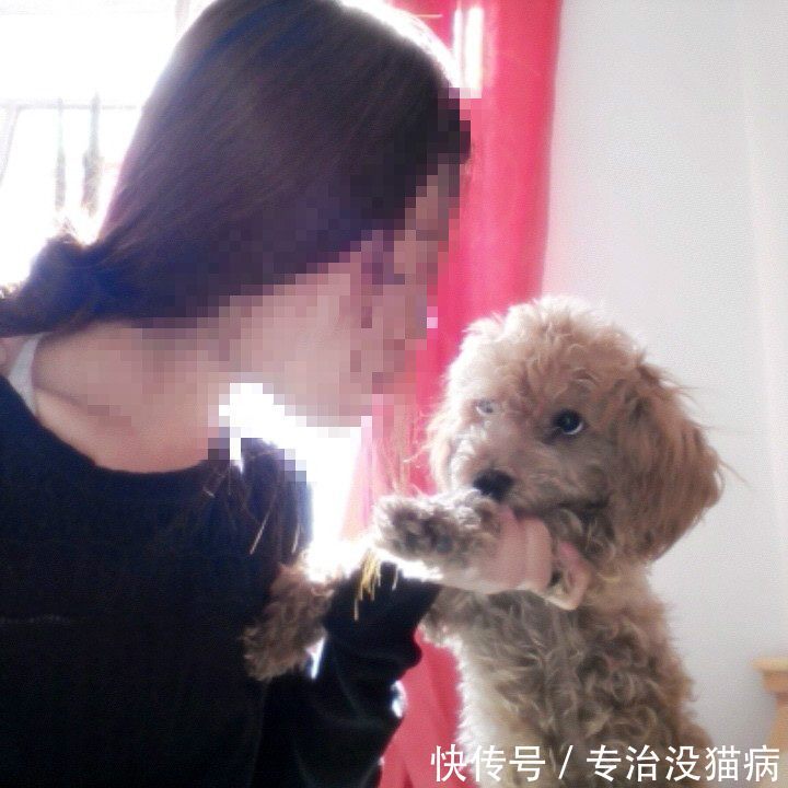 富二代女生去韩国整容,回家后自己的狗狗都不