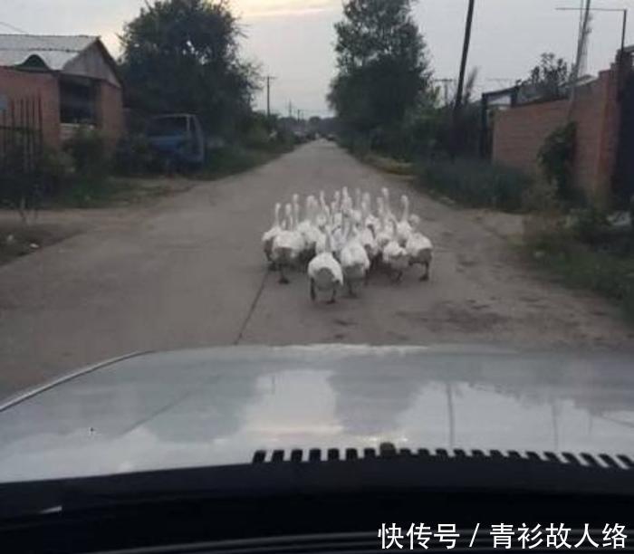 男子在上海闯荡八年后开车回家炫耀,结果很意外