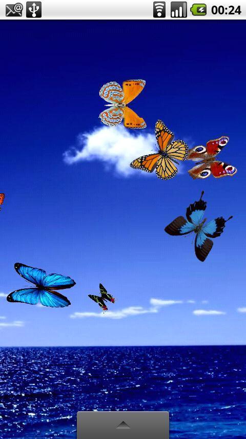 蝴蝶动态壁纸 Butterfly Live Wallpaper截图7