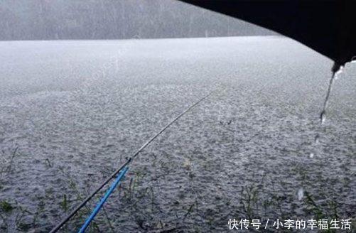 雨天鱼儿连连咬钩，机会短暂钓鱼要怎么把握？