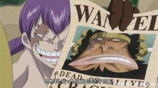 海贼王中的悬赏令之最, 海军颁发的这两张悬赏