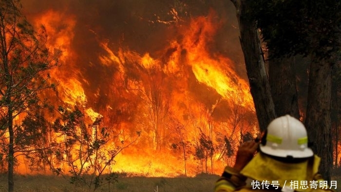 澳大利亚为什么多火灾