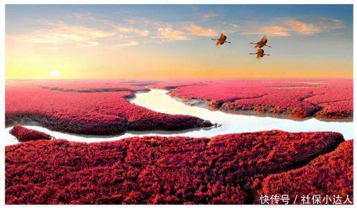 劳动合同法实施细则