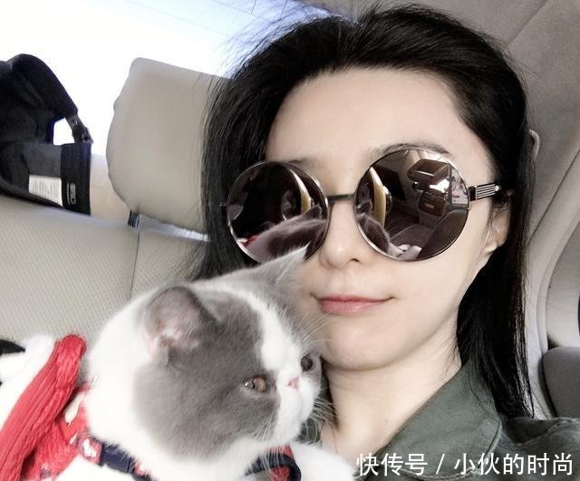 王思聪动物园再添新丁,买了一只范冰冰同款布