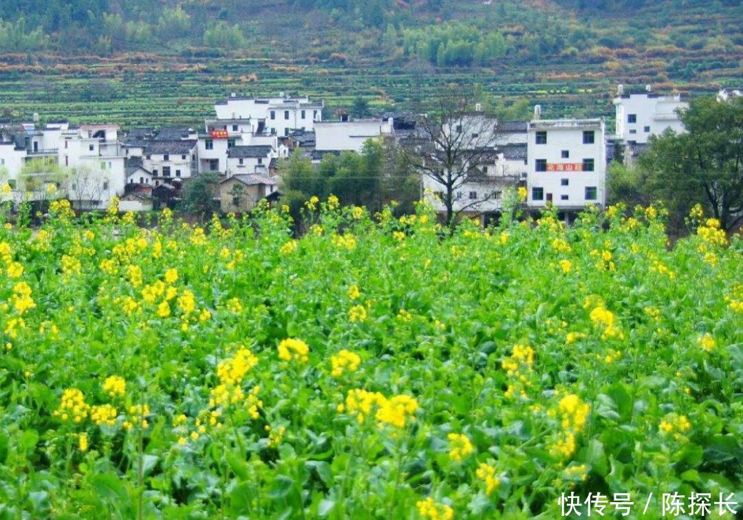 中国彩礼最高的省份,没15万找老婆难,不是拜金