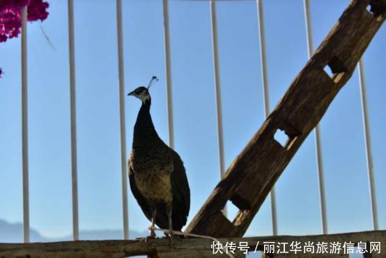 最适合一个人旅行的城市