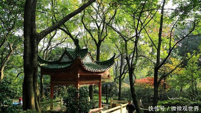 重庆旅游必去景点,一座私家园林,免费门票可看