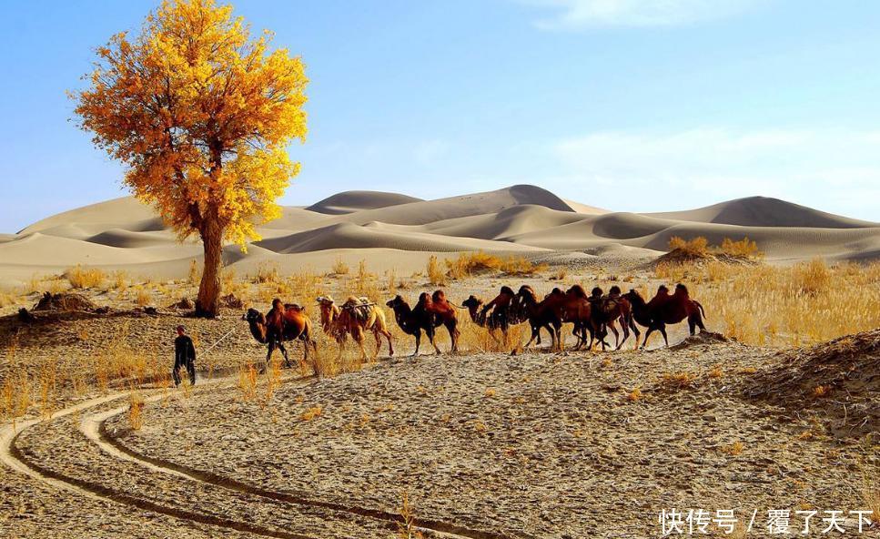 降雨量毫米是什么概念