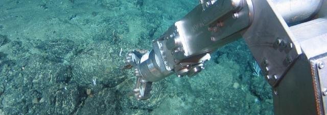 探矿权和采矿权的区别