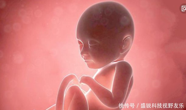 怀孕后,胎动总在右侧和胎儿性别有关吗或许和