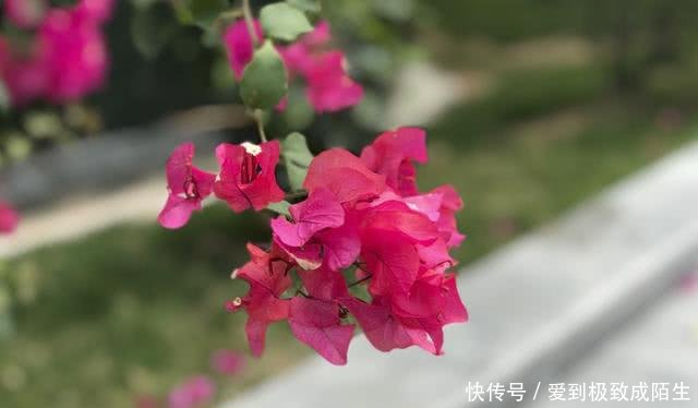 送长辈什么礼物好?AGM H1三防手机传递爱的特殊符号